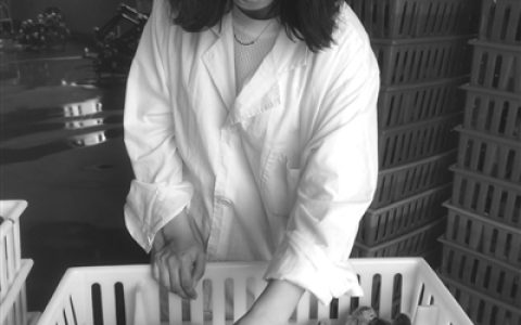 80后在读女博士当起“鸡司令”