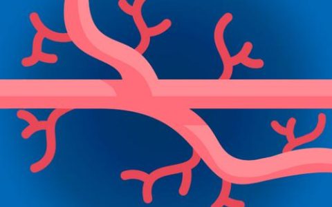 干细胞衍生的类器官可模拟甲状旁腺组织