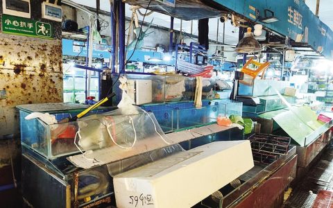 “他们不让在生鲜区卖小龙虾”，◎一摊贩：三亚第一农贸市场管理方以“不服从管理”为由下达停业整顿通知书 ◎市场管理方：小龙虾是淡水类产品，不属于海鲜