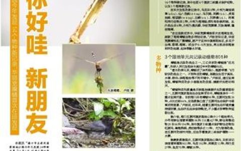 你好哇 新朋友，海口五源河湿地公园今年发现14个物种新记录，华丽宽腹蜻首次在琼发现