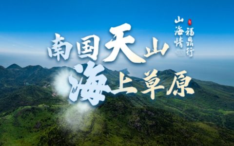<strong>福鼎推出《山海情 福鼎行》创意短剧</strong>