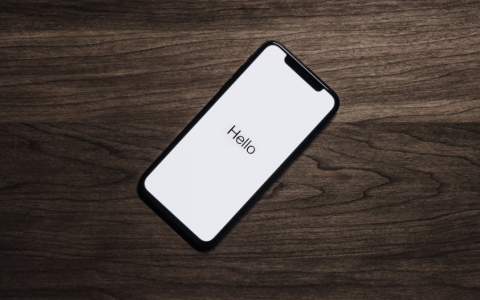 苹果供应链趋于多元化 但中国地位尚无法被取代