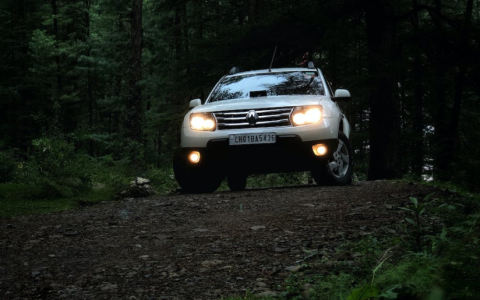 雷诺副CEO将于12月底离职