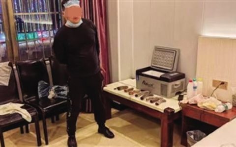 <strong>强卖鹿茸鹿鞭</strong><strong>这个6人团伙栽了</strong>