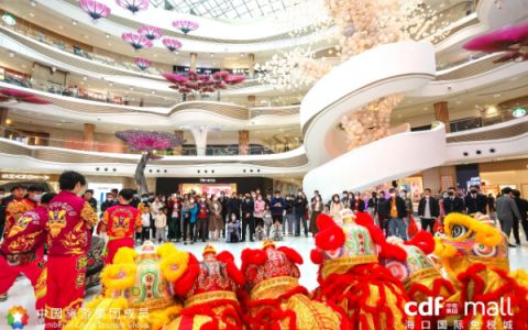 吉兔呈祥年味满满 中免集团新春活动助力消费回暖