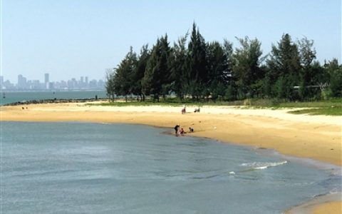 <strong>哎，咋就不听劝呢</strong>