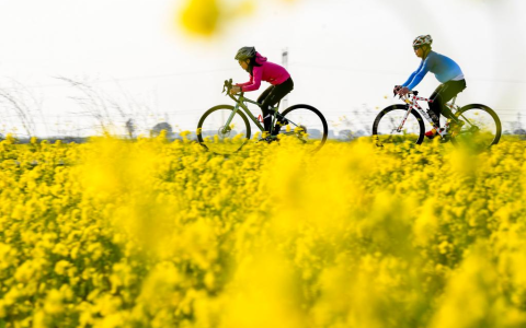 <strong>新华财经|春节后旅游市场“淡季不淡” 近期迎来“小阳春”</strong>