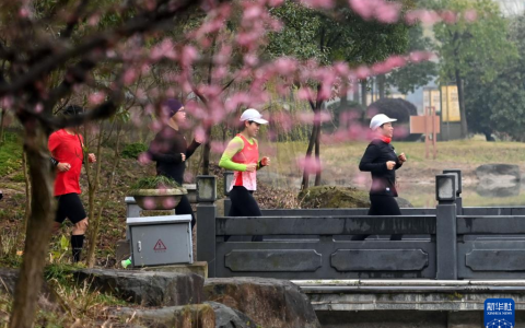 <strong>全民健身——乐享春日时光</strong>