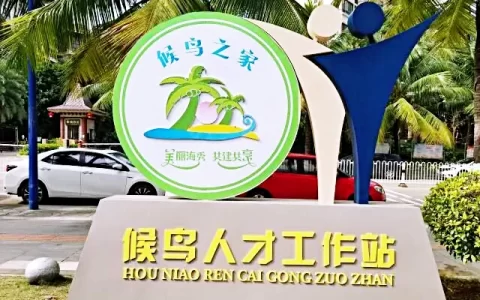 海南高端“候鸟”专家组赴定安新竹次滩村调研