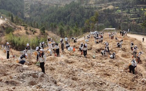益起“ 碳”索，悦动未来，东风本田“悦·蓝天”植树项目正式启动