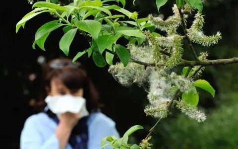 我国北方地区陆续进入花粉高峰期 专家：花粉过敏这些症状要警惕