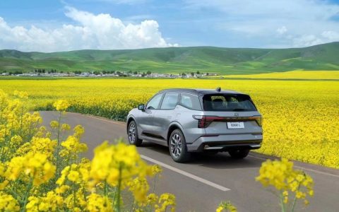 弥勒试驾大马力混动7座SUV，锐界L用豪华品牌车型的实力成功破圈