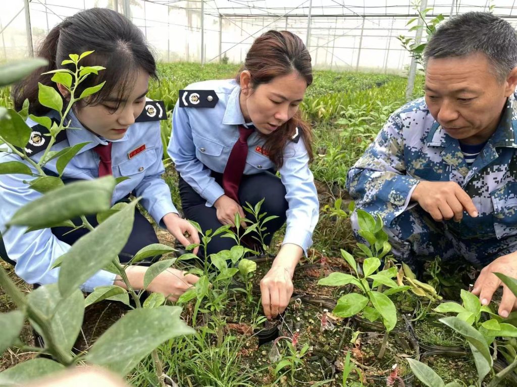 海南税务：税惠“春风助力” 果蔬“万象耕新”