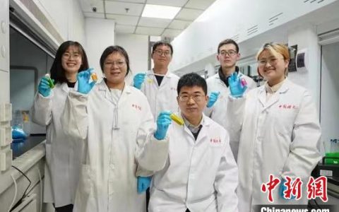 中外教授合作实现“三高”近红外钙钛矿LED制备