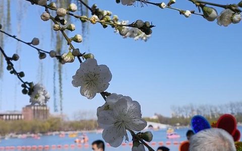 提振信心活力澎湃 国内消费市场“春意浓”