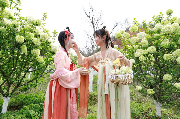 上饶市广丰区：“以花造节” 打造城市新名片