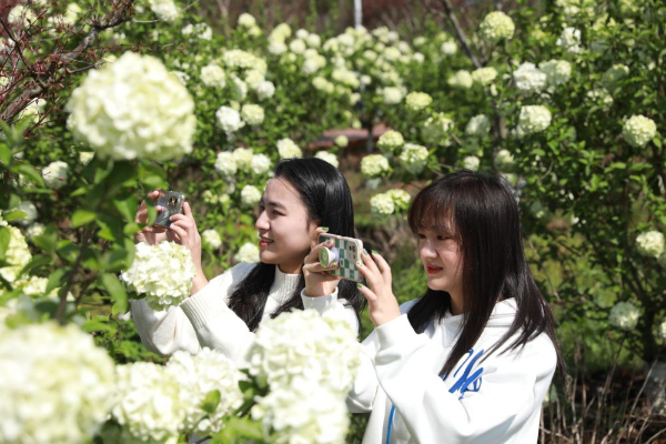 上饶市广丰区：“以花造节” 打造城市新名片