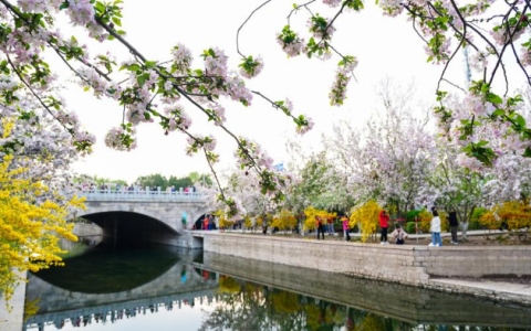 国内旅游出游2376.64万人次 清明假期“一日春游”火热