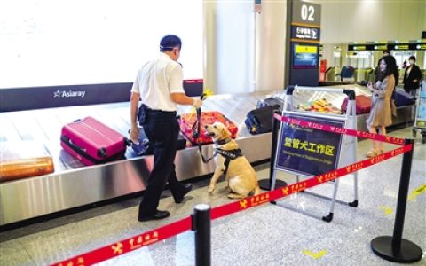 “汪汪队”立大功