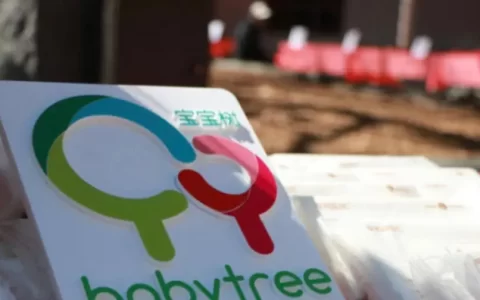 宝宝树高层内斗背后：两败俱伤，没有赢家