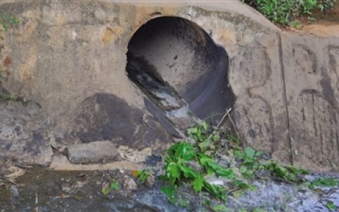 生活污水直排沟渠，水体发黑散发难闻味道