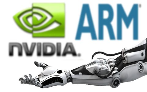 英伟达，在大模型浪潮下躺赢