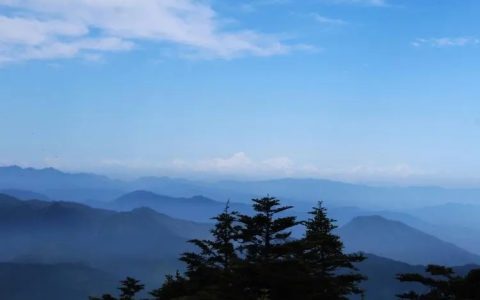 年轻人旅游呈现新特点 业内：围绕场景打造产品