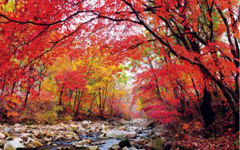 智慧旅游成消费新选项