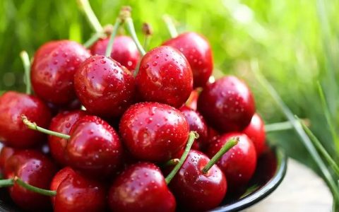 小樱桃串起“慢旅游”产业链