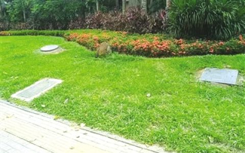 “绿化带井盖缺失存隐患”