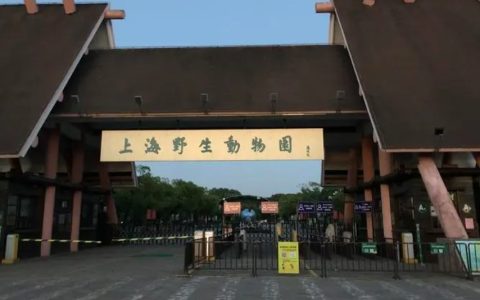 夜游再奇妙，也要考虑环境承载能力