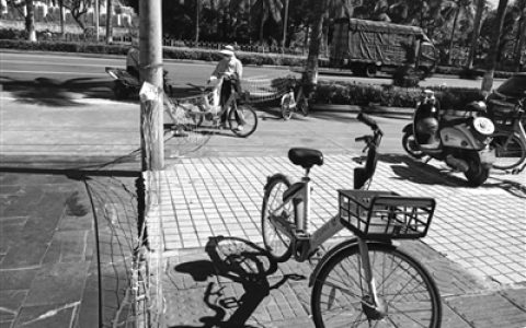 用共享单车设路障修剪树枝