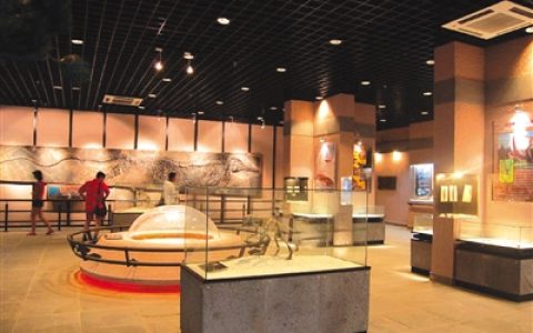 民间博物馆如何活起来火起来