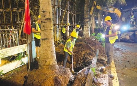 两侧270株树木“搬家”