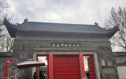 暑期“博物馆热”持续升温折射了什么？