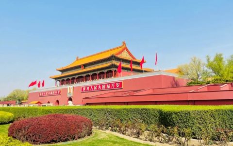 暑运过半出游热度不减 释放消费新活力