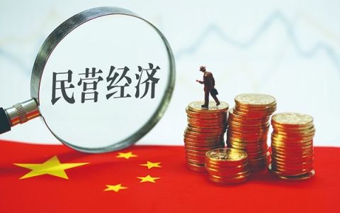 海南税务：多点发力 助力民营企业活力迸发