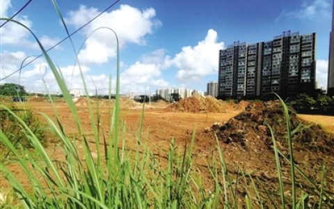 海口梧桐学校啥时建好？