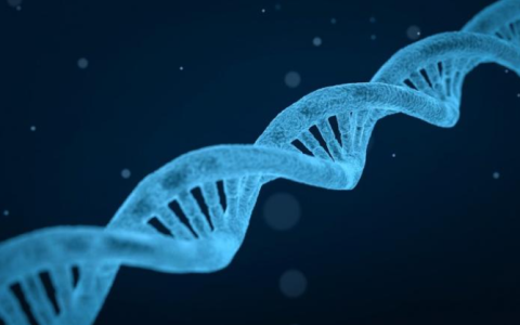 mRNA疗法已沦为“投资陷阱”？