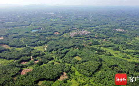 海南将建国际沉香交易中心