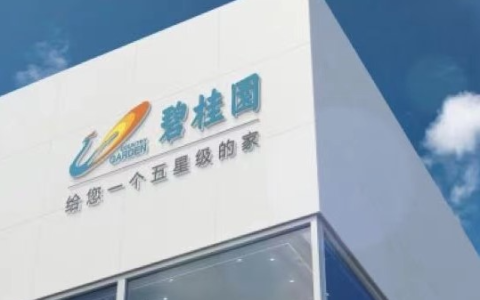 9笔境内债展期成功，碧桂园启动境外债务管理工作