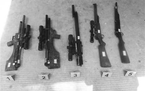 抓获7人缴获气枪5支