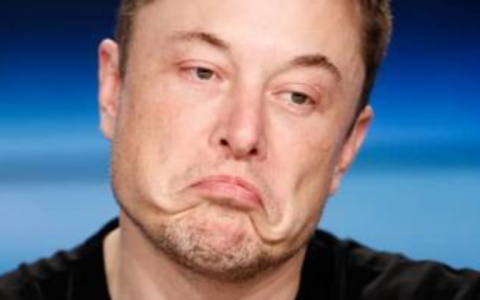 特斯拉连续两天大跌，大摩明星分析师警告：整个电车业都要警惕