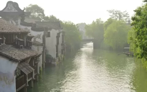 最会演戏的水乡！乌镇文旅的千层套路