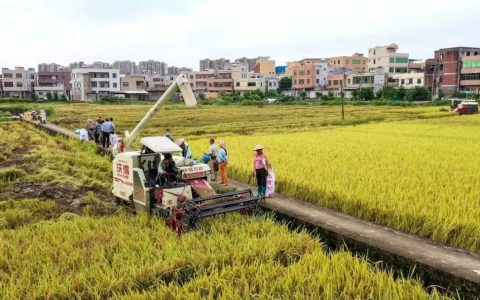 海南出台31条金融举措，支持这一领域→