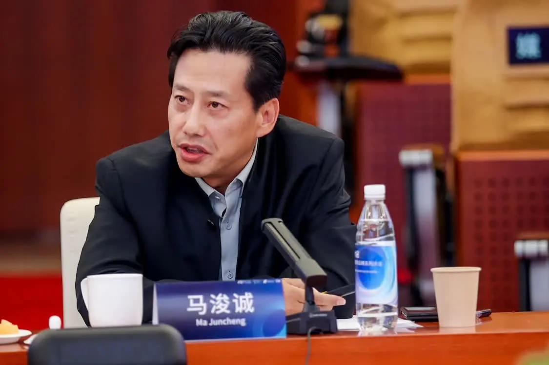 中央美术学院城市设计学院院长马浚诚