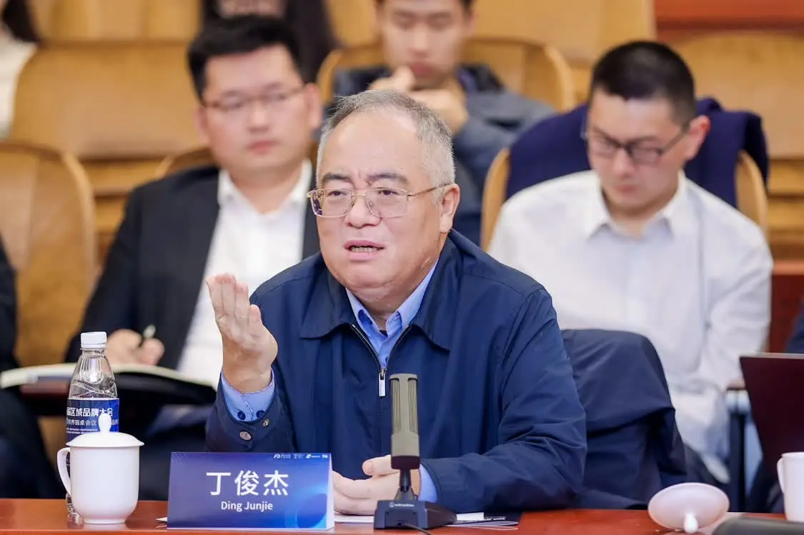 中国传媒大学教授、国家广告研究院院长丁俊杰