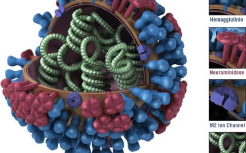 新冠流感支原体肺炎混合感染者出现，部分特效药耐药，如何应对？