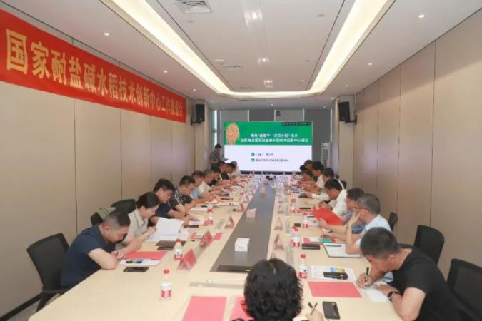 琼湘科技合力推进耐盐碱水稻科技创新工作