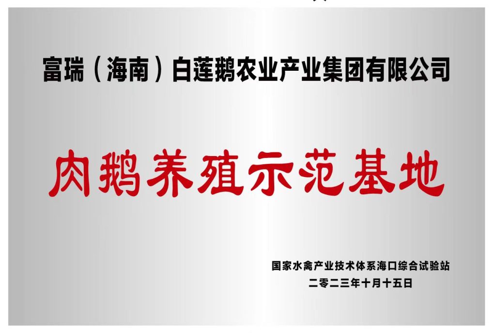 澄迈：投资2至3亿元建白莲鹅产业园区